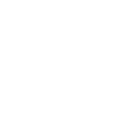 Aladdin logo