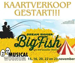 Big Fish logo