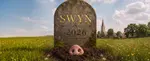 Logo van SWYN!