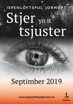 Stjer yn it tsjuster logo