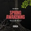 Spring Awakening logo