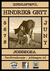 Logo von Hindriks Gryt