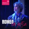 Romeo en Julia, maar dan een beetje anders logo