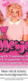 De 3 Biggetjes logo