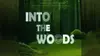 Logo van Into the Woods