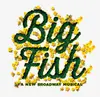 Logo von Big Fish
