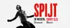 Spijt! logo