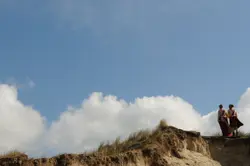 Geen bijen geen fruit logo